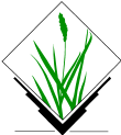 GRASS GIS Logo